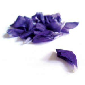 Scatola Ovale Caramelle Balsamiche Violetta 50 g 12 Pz Anis de Flavigny