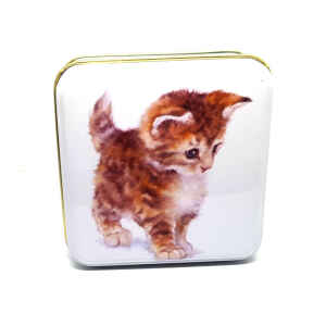 Latta quadrata piccola Best Friends - Cute Kitten Jo Stockdale