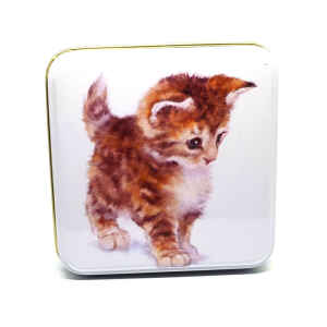 Latta quadrata piccola Best Friends - Cute Kitten Jo Stockdale