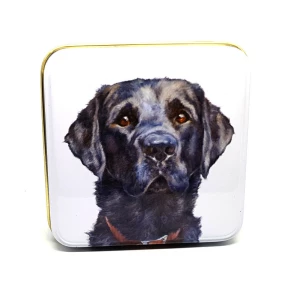 Latta quadrata piccola Best Friends - Dandy Boy Jo Stockdale