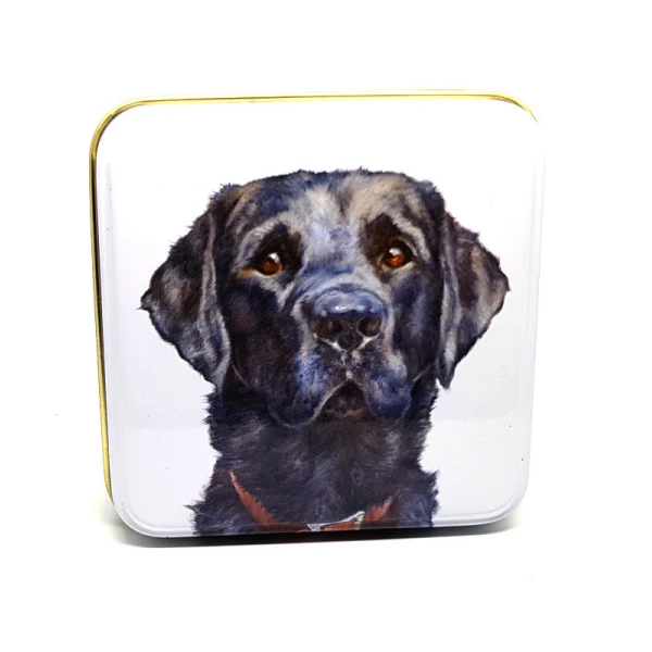 Latta quadrata piccola Best Friends - Dandy Boy Jo Stockdale