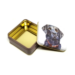 Latta quadrata piccola Best Friends - Dandy Boy Jo Stockdale