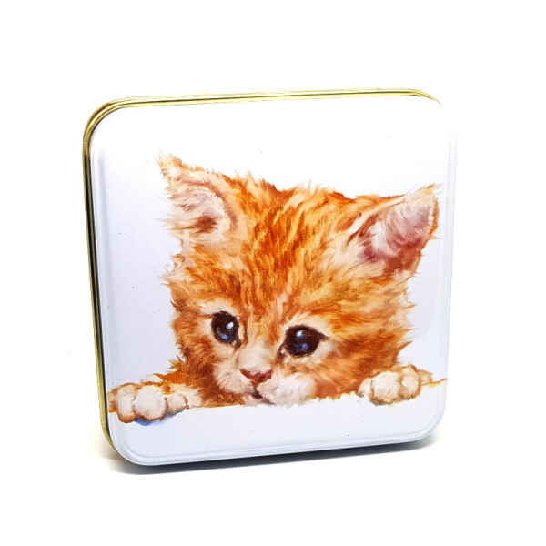 Latta quadrata piccola Best Friends - Marmalade Kitten Jo Stockdale