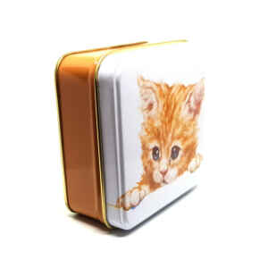 Latta quadrata piccola Best Friends - Marmalade Kitten Jo Stockdale