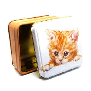 Latta quadrata piccola Best Friends - Marmalade Kitten Jo Stockdale