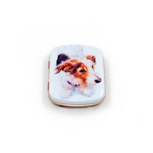 Mini latta rettangolare tascabile a cerniere Best Friends - Mr Percy Jo Stockdale