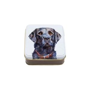 Latta quadrata piccola Best Friends - Dandy Boy Jo Stockdale