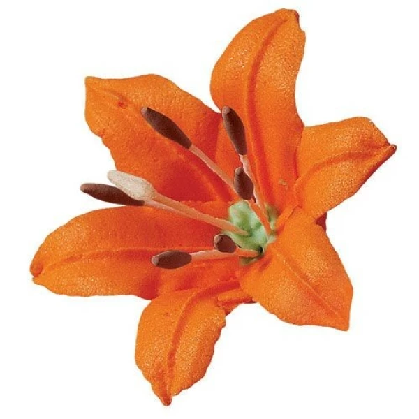Assortimento Pistilli Stami per Gigli 3 Colori 150 Pz Wilton
