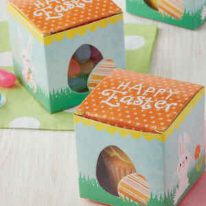 Mini Treat Boxes Egg 10 Pz Wilton