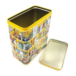 Latta rettangolare Setting Up Home Larder Storage Tin