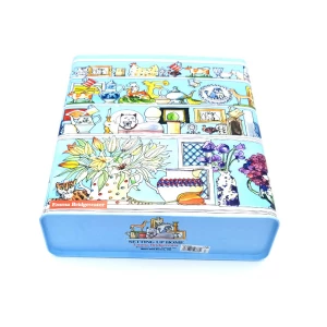 Latta rettangolare Setting Up Home Cereal Storage Tin