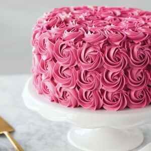 Colorante Gel Concentrato Icing Color Fucsia 28 g Wilton