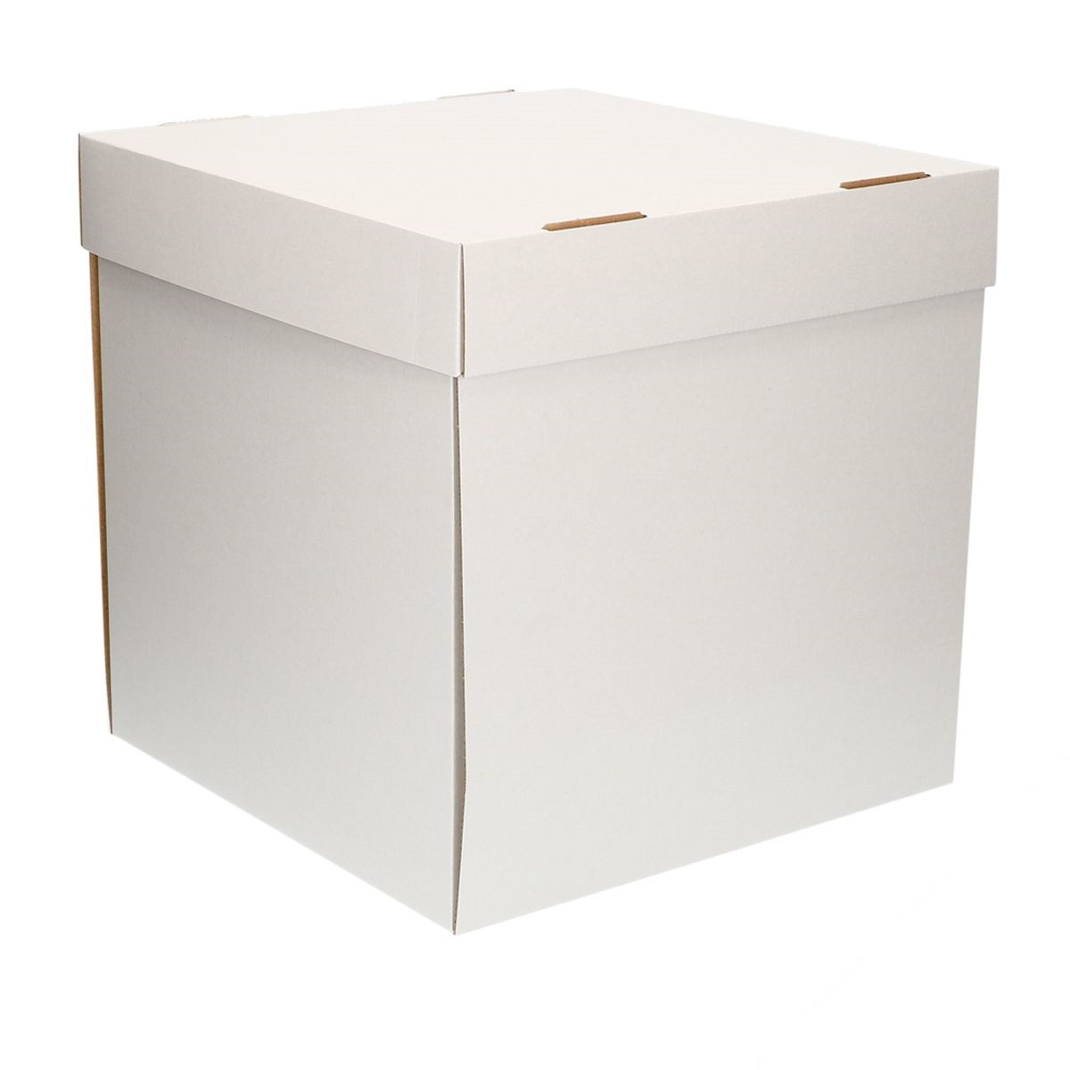  Bianco Scatola per Torte per trasportare 20 x 20 x 15 cm  Blanko  FunCakes Portatorta  