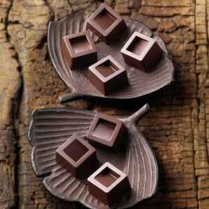 Stampo Cioccolato Cubo Silikomart