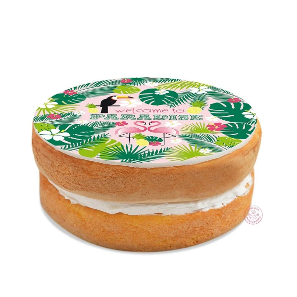 Disco in Glassa Tropical pronto all'uso Scrapcooking