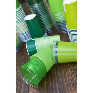 Bicchieri di Plastica Verde Prato 300 cc 10 Pezzi