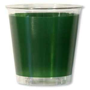 Bicchieri di Plastica Verde Scuro 300 cc Extra