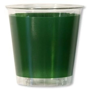 Bicchieri di Plastica Verde Scuro 300 cc Extra