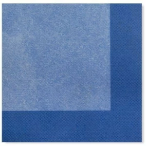 Tovaglioli Bicolore Turchese - Blu Cobalto 33 x 33 cm 3 confezioni Extra