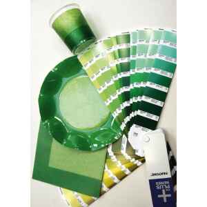 Bicchieri di Plastica Bicolore Verde - Verde Scuro 250 cc 8 Pezzi