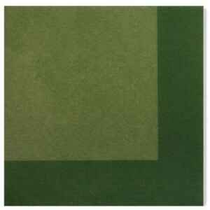 Tovaglioli Bicolore Verde - Verde Scuro 33 x 33 cm 3 confezioni Extra