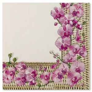 Tovaglioli Armonia 33 x 33 cm 3 confezioni Extra