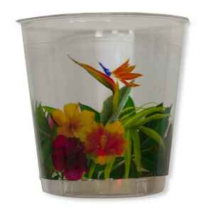 Bicchieri di Plastica Tropical 300 cc Extra