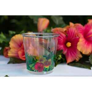 Bicchieri di Plastica Tropical 300 cc 8 Pz