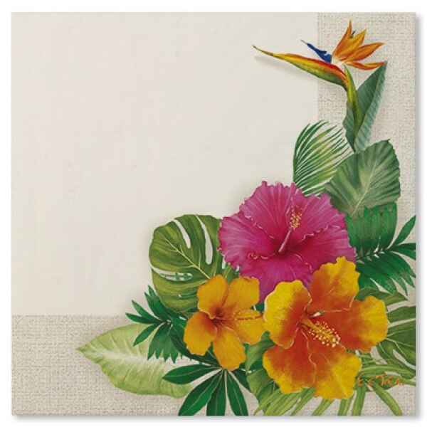 Tovaglioli Tropical 33 x 33 cm 3 confezioni Extra