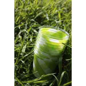 Bicchieri di Plastica Vichy a Quadri Bianco Verde Lime 300 cc 3 confezioni Extra