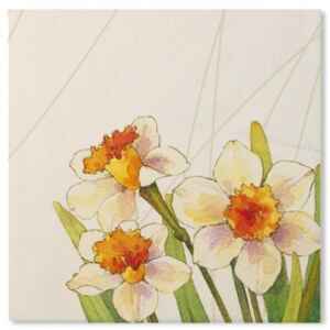 Tovaglioli Floreali Narcisi 33 x 33 cm 3 Confezioni Extra