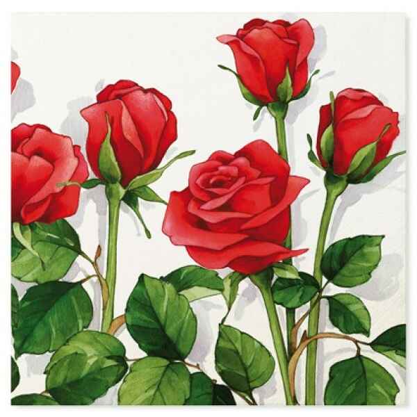 Tovaglioli Rose Rosse 33 x 33 cm 3 confezioni Extra