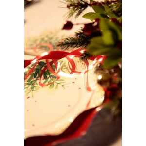 Piatti Piani di Carta a Petalo Christmas Bouquet 21 cm Extra