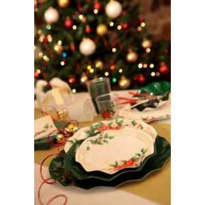 Piatti Piani di Carta a Petalo Fiori di Natale 21 cm Extra