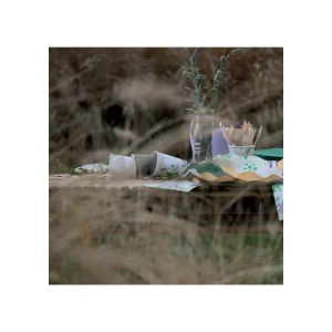Bicchieri Compostabili CountrySide 250 cc Extra