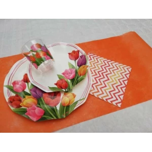 Piatti Piani di Carta a Petalo Tulipani Colorati 21 cm Extra