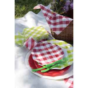 Piatti Piani di Carta Vichy a Quadri Bianco Verde Lime 27 cm 10 Pz