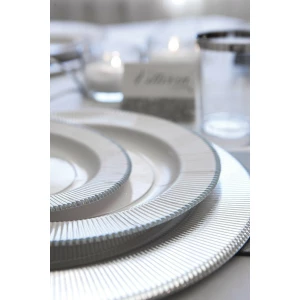 Piatti Piani di Carta a Righe Bordo Argento Classic Silver 21 cm 8 Pz