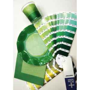Extra Piatti Piani di Carta a Petalo Bicolore Verde - Verde Scuro 21 cm