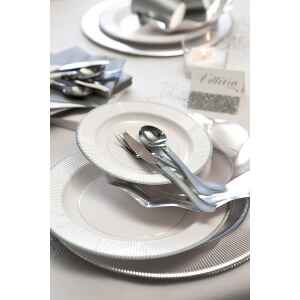 Extra Piatti Piani di Carta a Righe Bordo Argento Classic Silver 21 cm