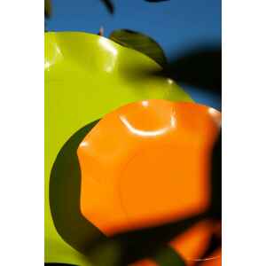 Extra Piatti Piani di Carta Compostabile a Petalo Arancione 21 cm