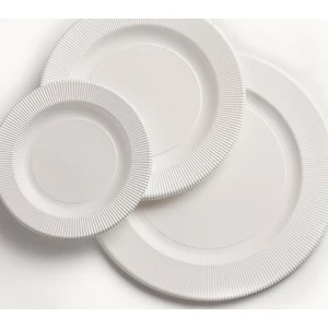 Piatti Piani di Carta Opaco a Righe Avorio 21 cm 8 Pz