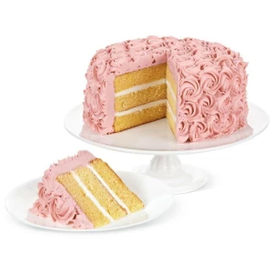 Set Decorativo di Base per Crema al Burro 20 Pezzi Wilton