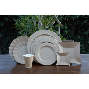Bicchieri di Carta Compostabili Kraft 250 cc 8 Pezzi Ex.Tra.