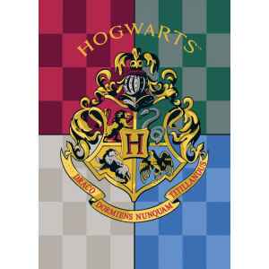 Coperta in pile 100 x 140 cm Harry Potter Warner Bros