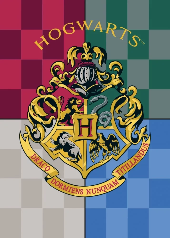 Coperta in pile 100 x 140 cm Harry Potter Warner Bros - CakeCaramella