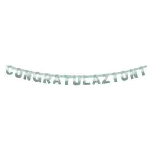 Festone Congratulazioni XL Argento Metallizzato 225 cm 1 Pz