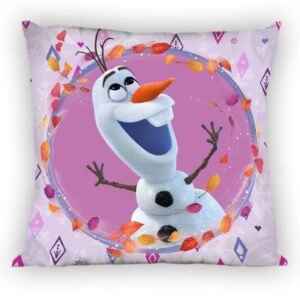 Solo federa per Cuscino Frozen 40 x 40 cm 1 Pz Disney-1