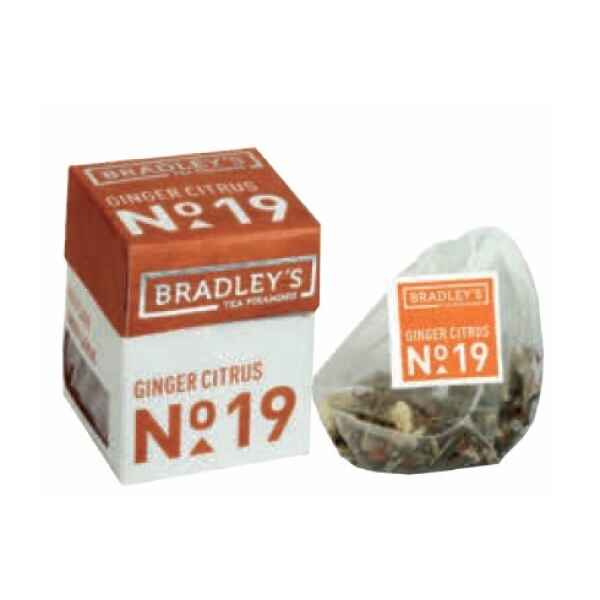 Cartone Numero 19 - Minipiramidi ZENZERO AGRUMI 2 g 30 Bustine Bradley's